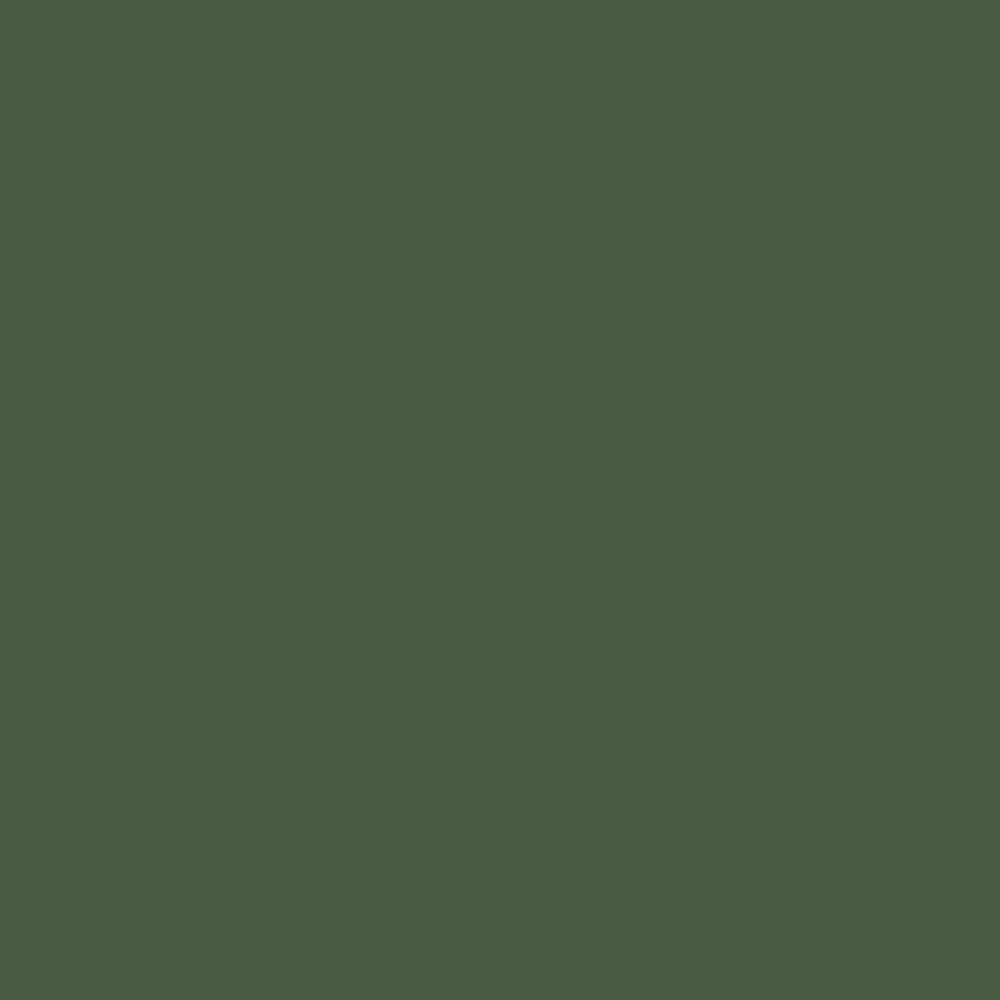 Prince August gamme Classic - Vert Olive Foncé (P968)